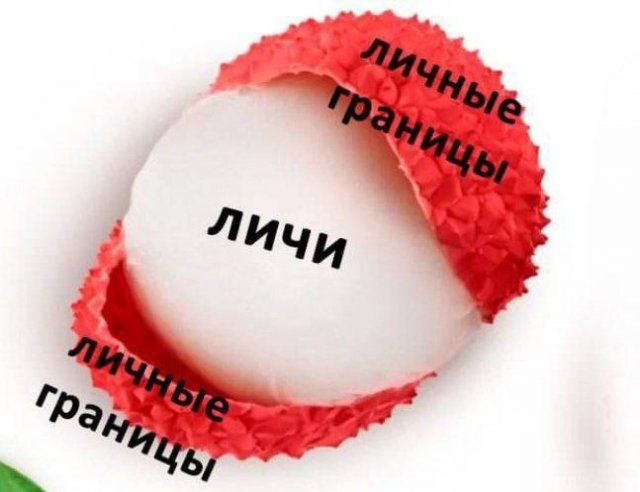 Лучшие шутки и мемы из Сети - 05.12.2025