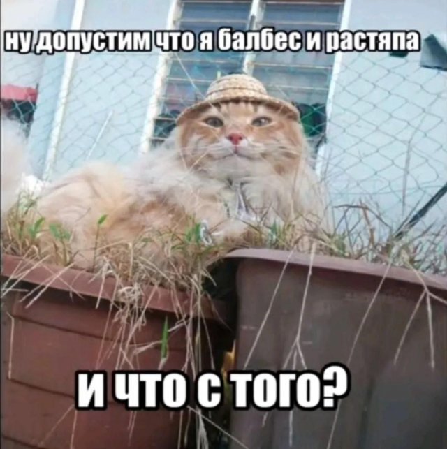 Лучшие шутки и мемы из Сети - 05.12.2025