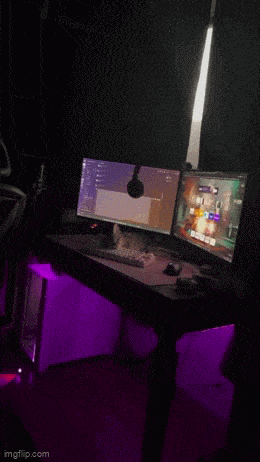 Подборка гифок -  08.12.2025