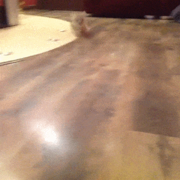 Подборка гифок -  08.12.2025