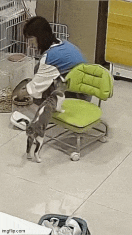 Подборка гифок -  08.12.2025