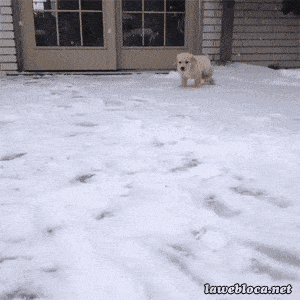 Подборка гифок -  08.12.2025