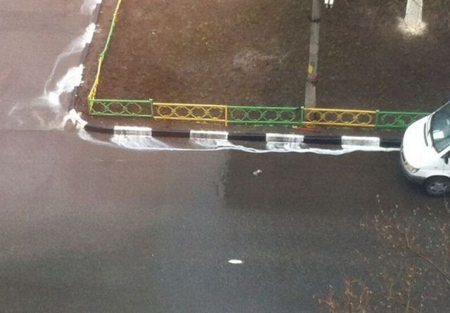 Подборка картинок. Вечерний выпуск - 08.12.2025