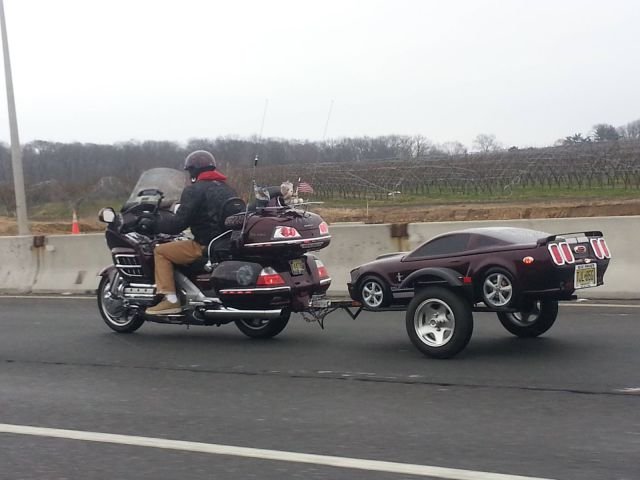 Подборка картинок. Вечерний выпуск - 08.12.2025