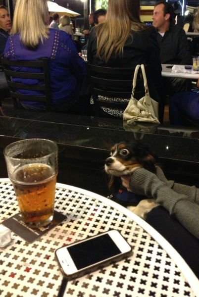 Подборка картинок. Вечерний выпуск - 08.12.2025