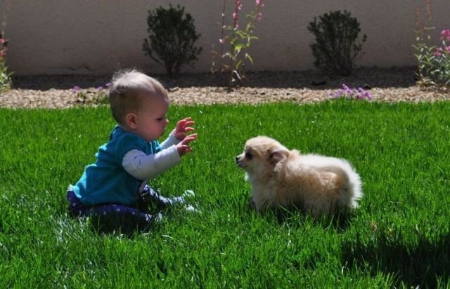 Подборка картинок. Вечерний выпуск - 08.12.2025