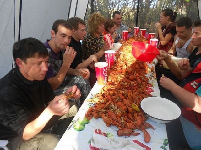 Подборка картинок. Вечерний выпуск - 08.12.2025