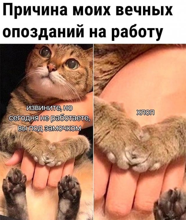 Лучшие шутки и мемы из Сети - 08.12.2025