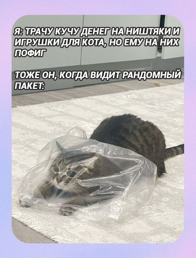 Лучшие шутки и мемы из Сети - 08.12.2025