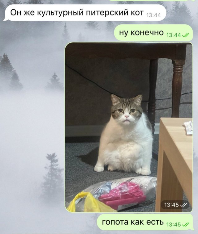 Лучшие шутки и мемы из Сети - 08.12.2025