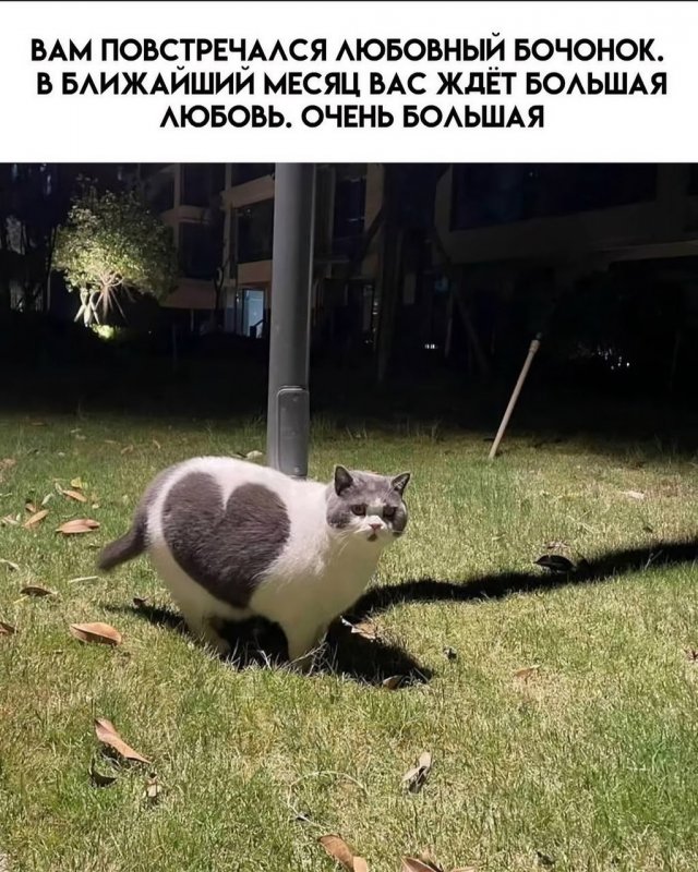 Лучшие шутки и мемы из Сети - 08.12.2025