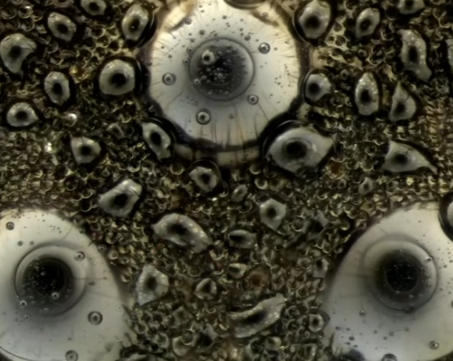 Разные объекты под микроскопом Разные объекты под микроскопом