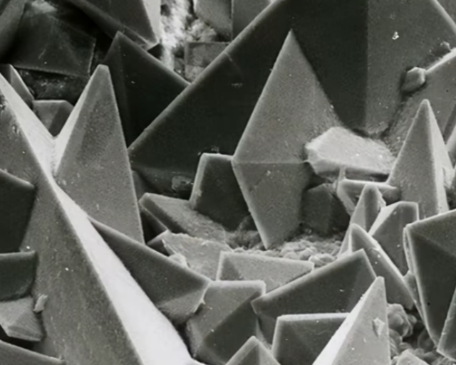 Разные объекты под микроскопом Разные объекты под микроскопом