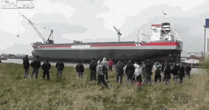 Подборка гифок -  09.12.2025