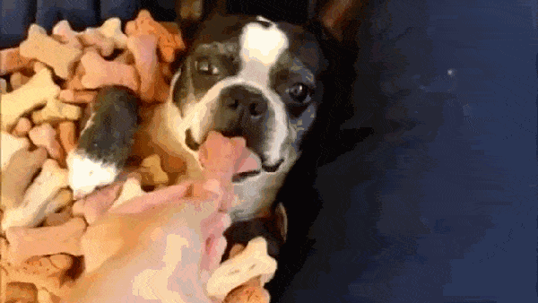 Подборка гифок -  09.12.2025