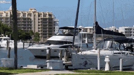 Подборка гифок -  09.12.2025