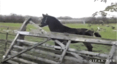 Подборка гифок -  09.12.2025