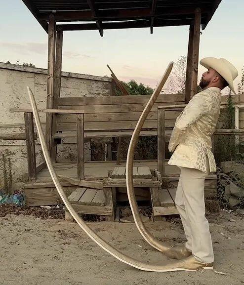 Подборка картинок. Вечерний выпуск - 09.12.2025