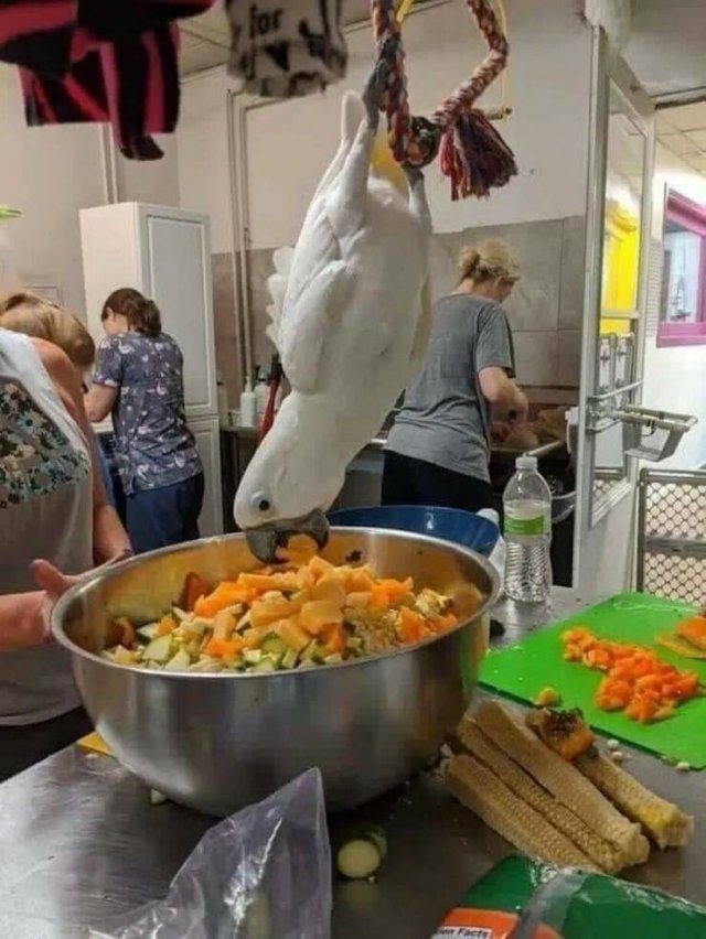 Подборка картинок. Вечерний выпуск - 09.12.2025