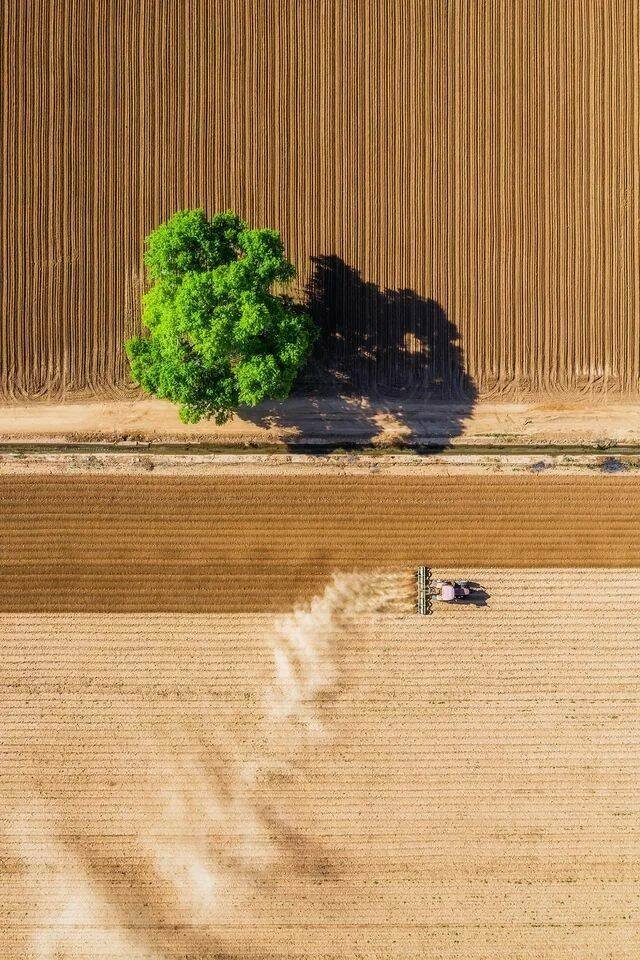 Подборка картинок. Вечерний выпуск - 09.12.2025