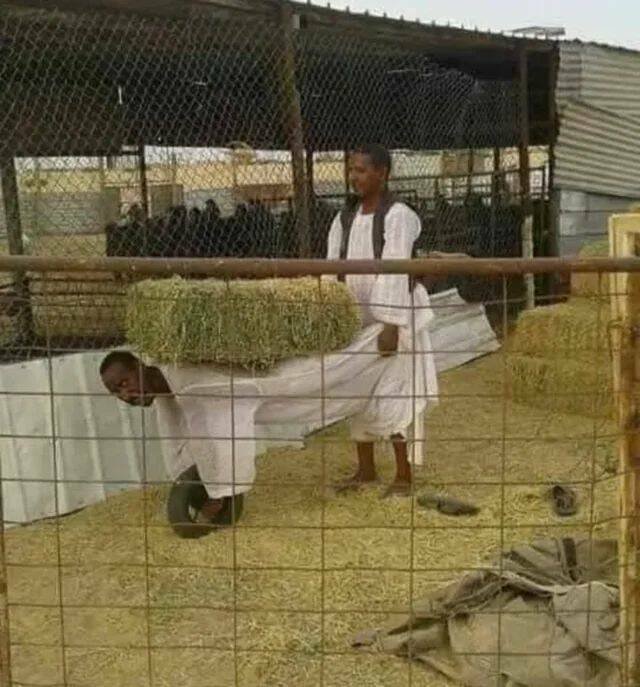 Подборка картинок. Вечерний выпуск - 09.12.2025