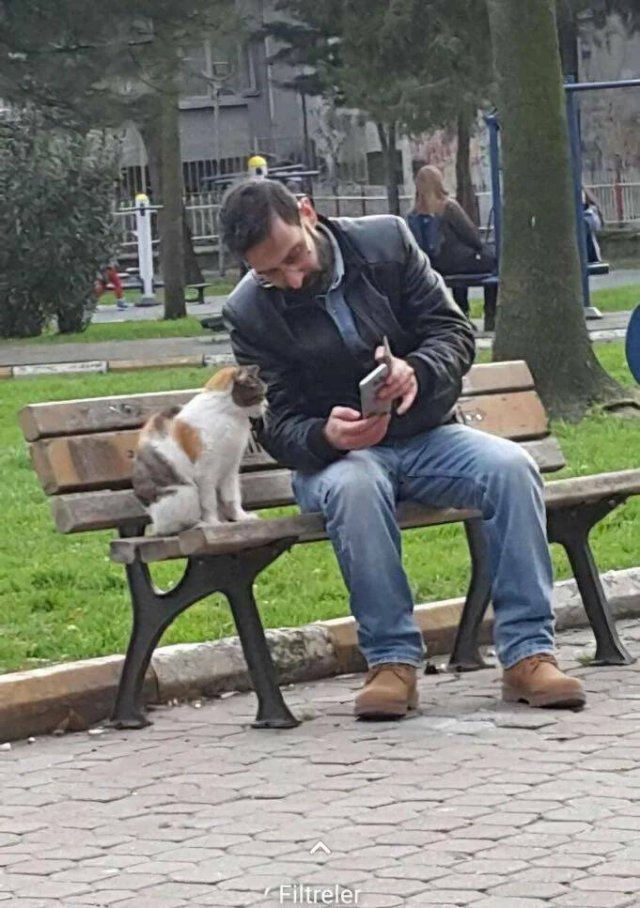 Подборка картинок. Вечерний выпуск - 09.12.2025