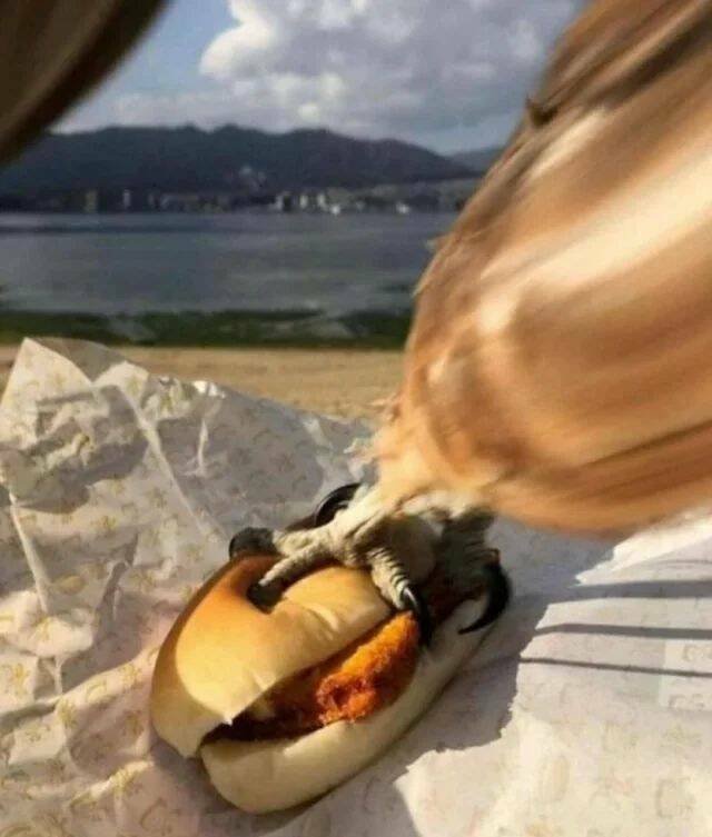 Подборка картинок. Вечерний выпуск - 09.12.2025