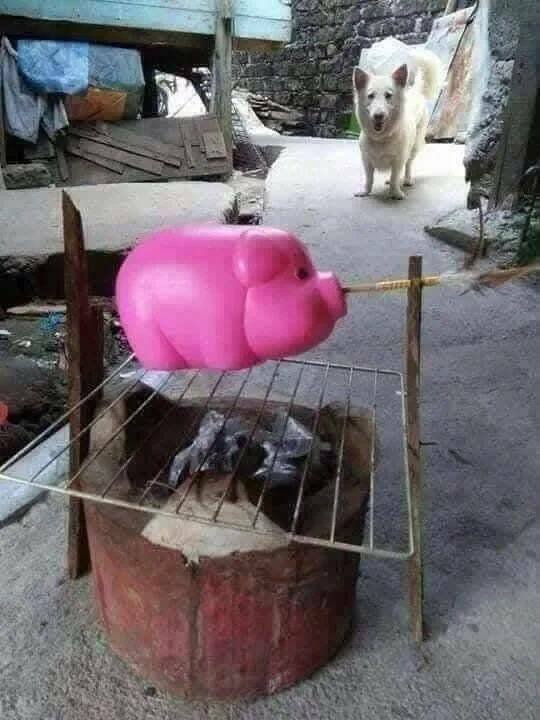 Подборка картинок. Вечерний выпуск - 09.12.2025