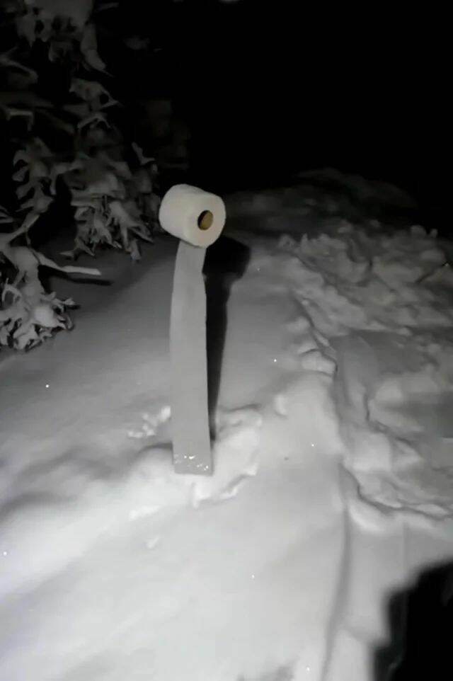 Подборка картинок. Вечерний выпуск - 09.12.2025