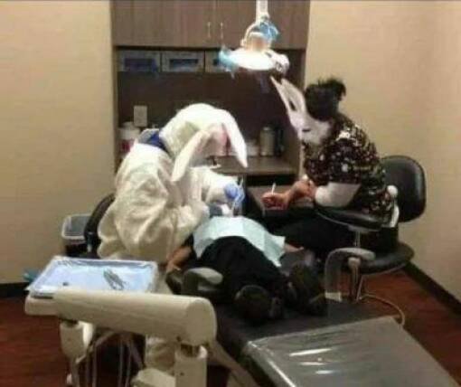 Подборка картинок. Вечерний выпуск - 09.12.2025