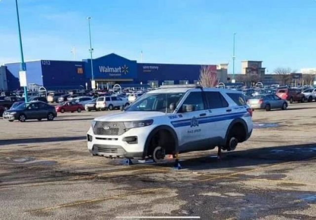 Подборка картинок. Вечерний выпуск - 09.12.2025