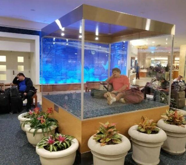 Подборка картинок. Вечерний выпуск - 09.12.2025