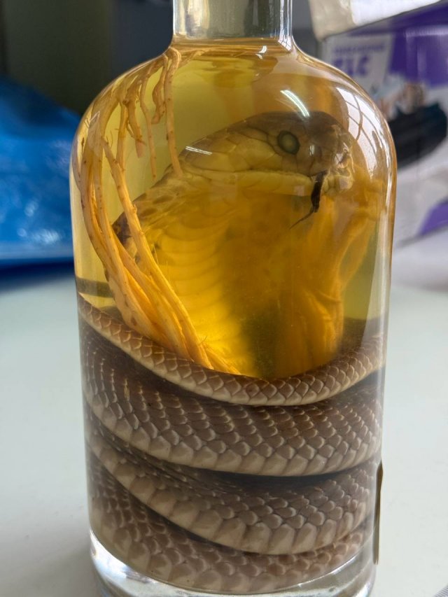 Змеиное вино с настоящей коброй внутри изъяли алтайские таможенники у пассажирки из Вьетнама