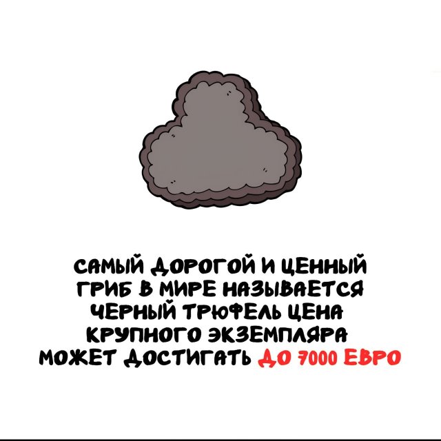 Интересные факты на все случаи жизни