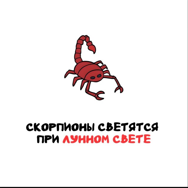 Интересные факты на все случаи жизни