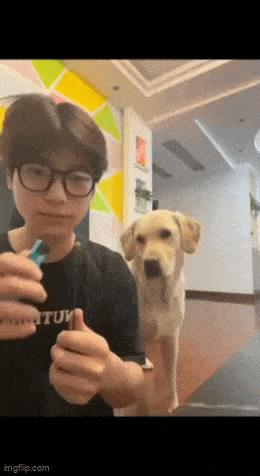 Подборка гифок -  10.12.2025