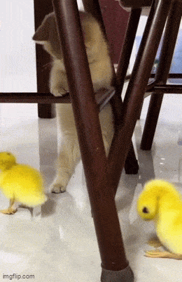 Подборка гифок -  10.12.2025