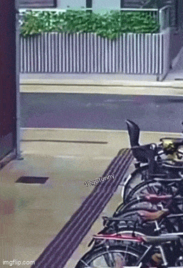 Подборка гифок -  10.12.2025