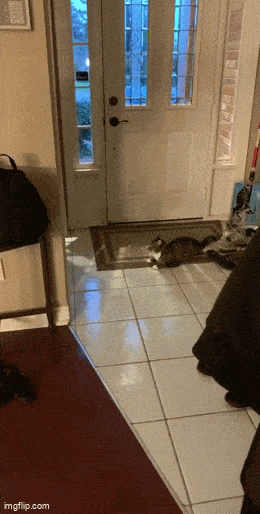 Подборка гифок -  10.12.2025