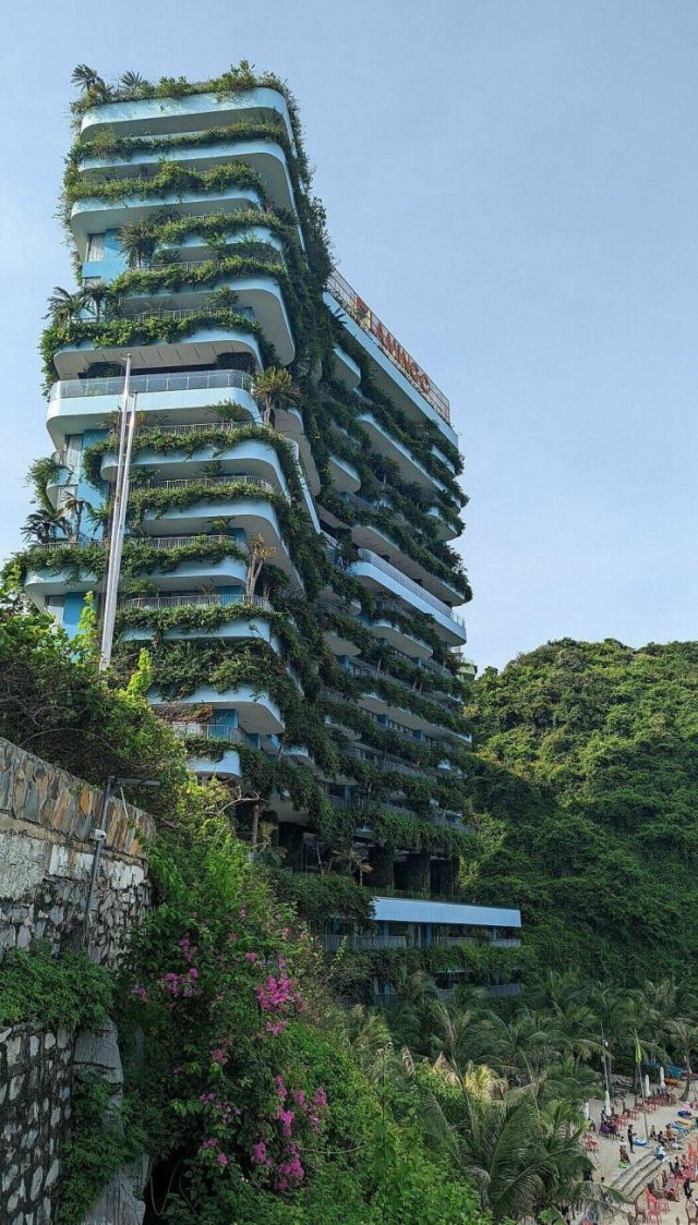 Подборка картинок. Вечерний выпуск - 10.12.2025