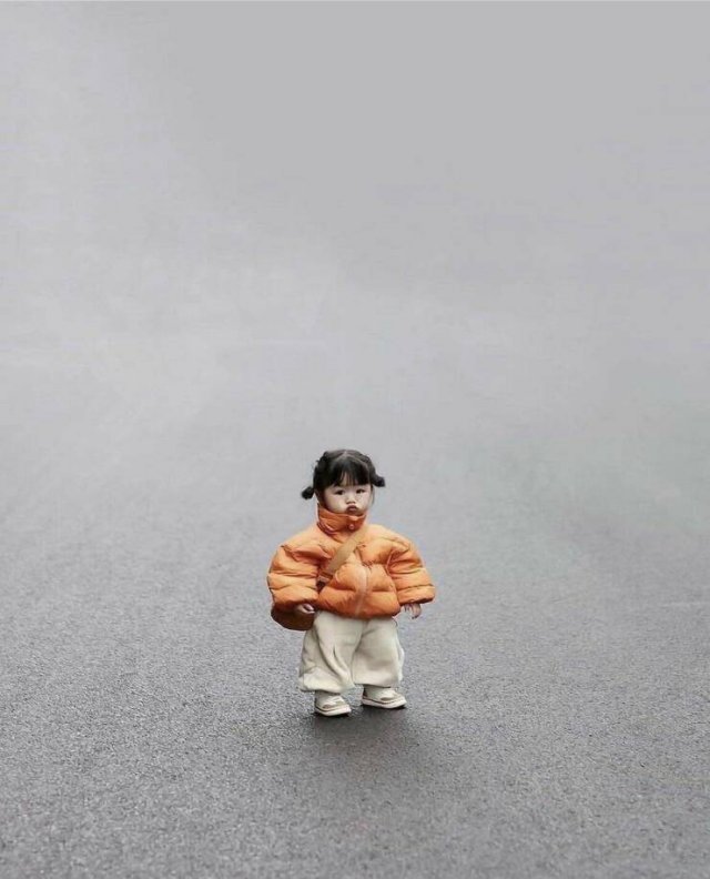 Подборка картинок. Вечерний выпуск - 10.12.2025