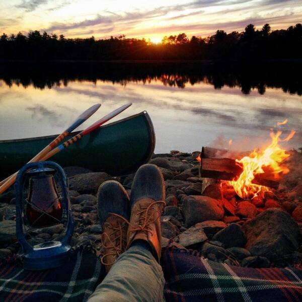 Подборка картинок. Вечерний выпуск - 10.12.2025