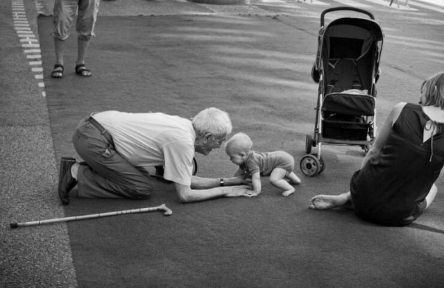 Подборка картинок. Вечерний выпуск - 10.12.2025