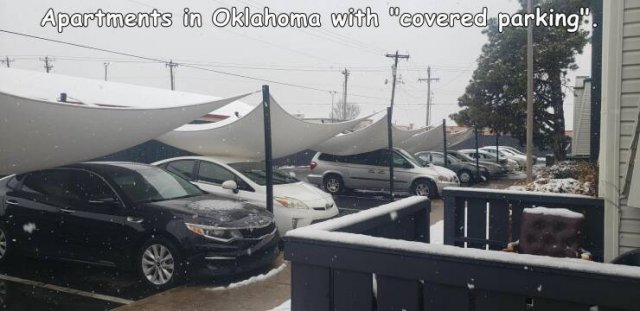 Подборка картинок. Вечерний выпуск - 10.12.2025