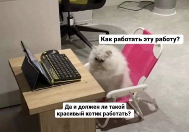 работа по 6 часов в день новости работа по 6 часов в день новости