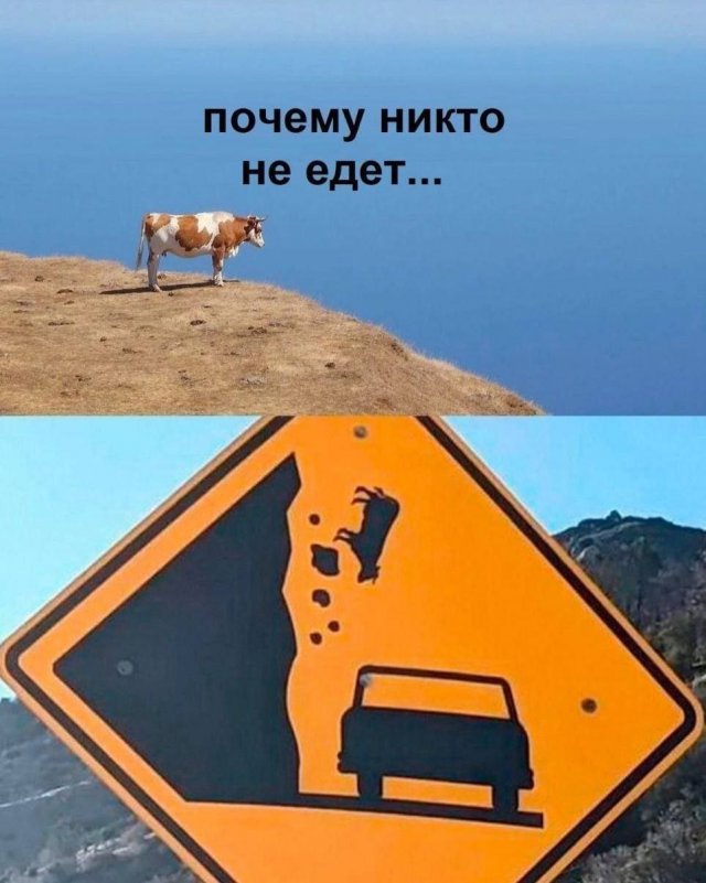 Лучшие шутки и мемы из Сети - 10.12.2025