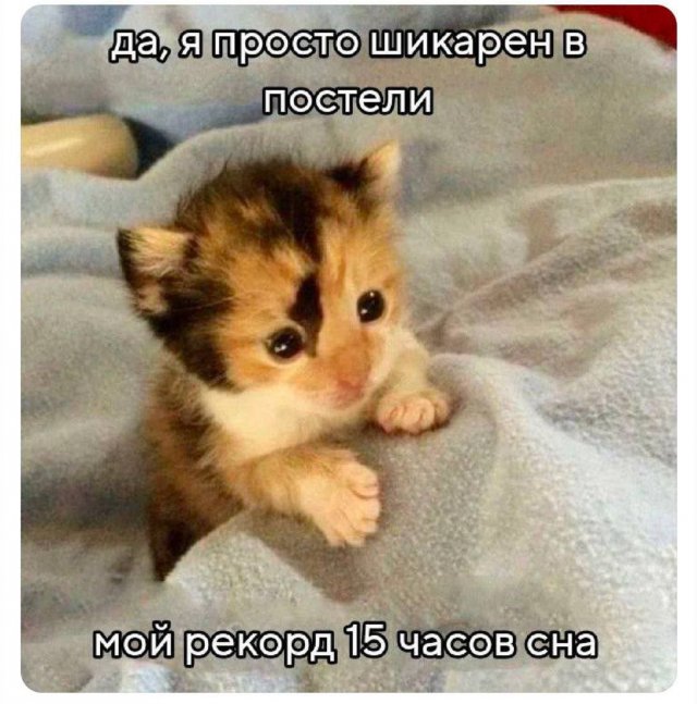 Лучшие шутки и мемы из Сети - 10.12.2025