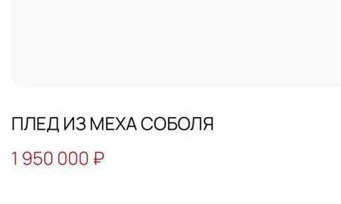 Если сильно замерзли, не беда - плед из меха соболя вам поможет Если сильно замерзли, не беда - плед из меха соболя вам поможет