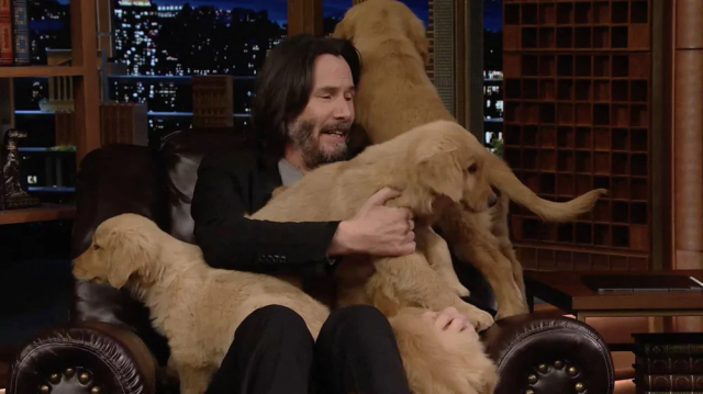 Киану Ривз открыл крупнейший в мире бесплатный приют для кошек и собак Киану Ривз открыл крупнейший в мире бесплатный приют для кошек и собак