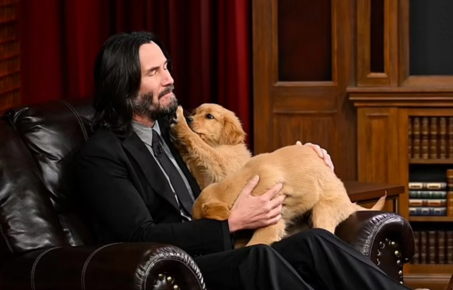 Киану Ривз открыл крупнейший в мире бесплатный приют для кошек и собак Киану Ривз открыл крупнейший в мире бесплатный приют для кошек и собак